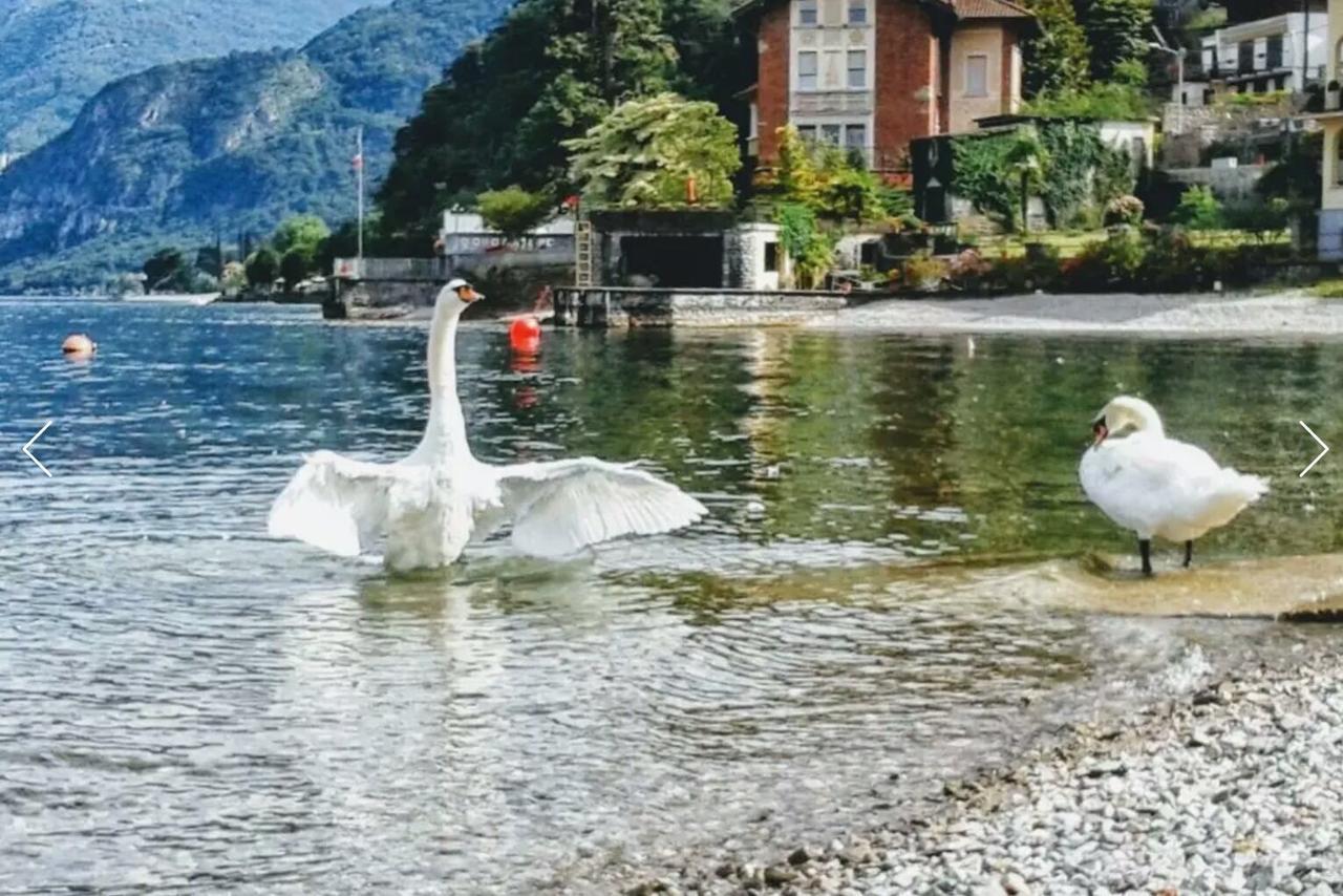 乐戈里纳公寓 Oliveto Lario 外观 照片