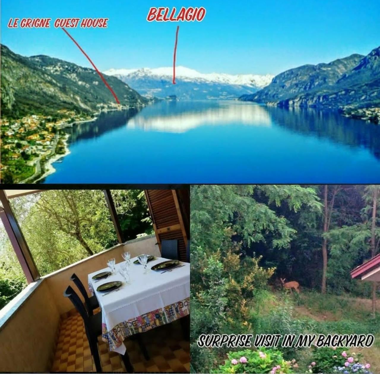 乐戈里纳公寓 Oliveto Lario 外观 照片